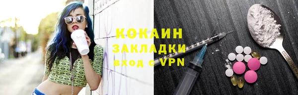 прущие крисы Няндома