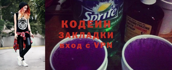 шишки Нязепетровск