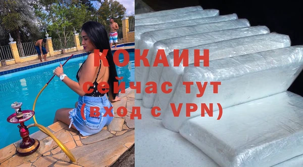 прущие крисы Няндома