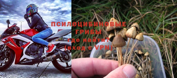 прущие крисы Няндома