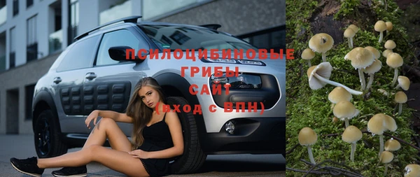 стаф Остров