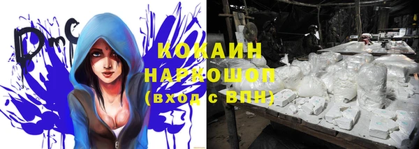шишки Нязепетровск