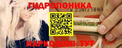 стаф Камышлов