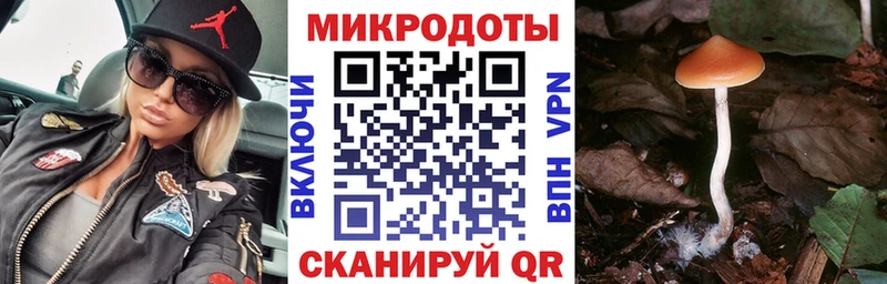 Псилоцибиновые грибы Psilocybine cubensis Карасук